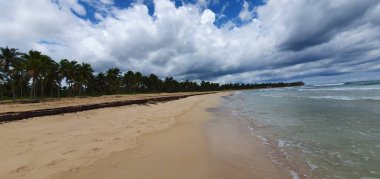 Punta Cana Dominik Cumhuriyeti 'nde hindistan cevizi ağaçları olan sahil manzarası.