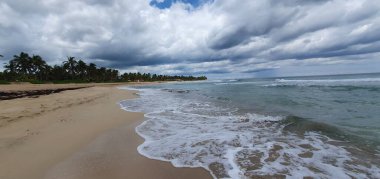 Punta Cana Dominik Cumhuriyeti 'nde hindistan cevizi ağaçları olan sahil manzarası.