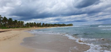 Punta Cana Dominik Cumhuriyeti 'nde hindistan cevizi ağaçları olan sahil manzarası.