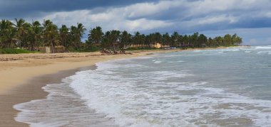 Punta Cana Dominik Cumhuriyeti 'nde hindistan cevizi ağaçları olan sahil manzarası.