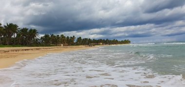 Punta Cana Dominik Cumhuriyeti 'nde hindistan cevizi ağaçları olan sahil manzarası.