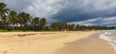 Punta Cana Dominik Cumhuriyeti 'nde hindistan cevizi ağaçları olan sahil manzarası.