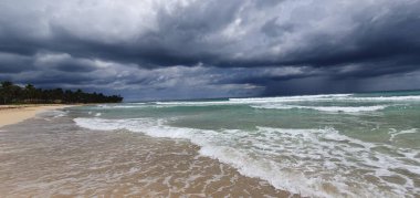 Punta Cana Dominik Cumhuriyeti 'nde hindistan cevizi ağaçları olan sahil manzarası.