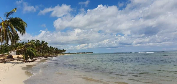 Krajobraz Plaży Kokosami Punta Cana Dominikana — Zdjęcie stockowe