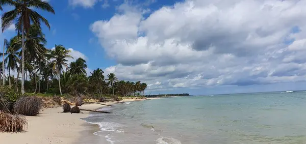 Strandlandschap Met Kokospalmen Dominicaanse Republiek — Stockfoto