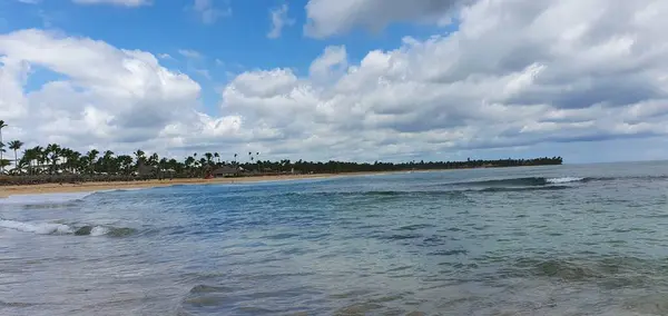 Paesaggio Sulla Spiaggia Con Alberi Cocco Punta Cana Repubblica Dominicana — Foto Stock