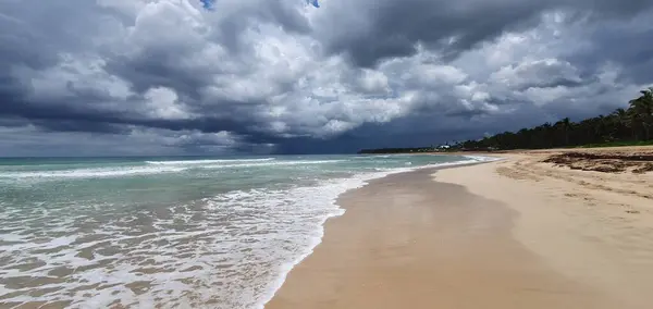 Strandlandschaft Mit Kokospalmen Punta Cana Dominikanische Republik lizenzfreie Stockbilder