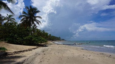 Uvero Alto, Punta Cana, Dominik Cumhuriyeti 'nde egzotik bir Karayip plajının manzarası