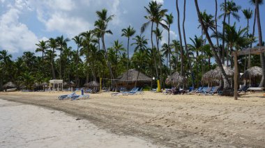Uvero Alto, Punta Cana, Dominik Cumhuriyeti 'nde egzotik bir Karayip plajının manzarası