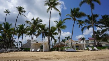 Uvero Alto, Punta Cana, Dominik Cumhuriyeti 'nde egzotik bir Karayip plajının manzarası