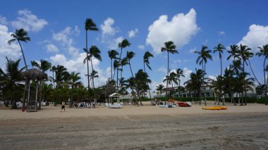 Uvero Alto, Punta Cana, Dominik Cumhuriyeti 'nde egzotik bir Karayip plajının manzarası