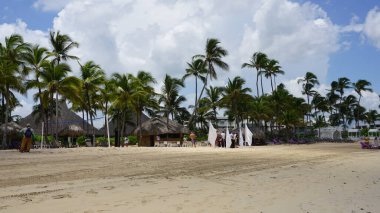 Uvero Alto, Punta Cana, Dominik Cumhuriyeti 'nde egzotik bir Karayip plajının manzarası
