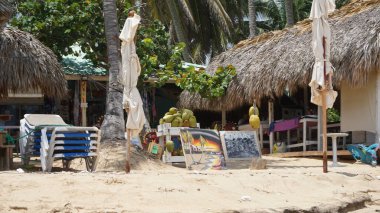Uvero Alto, Punta Cana, Dominik Cumhuriyeti 'nde egzotik bir Karayip plajının manzarası