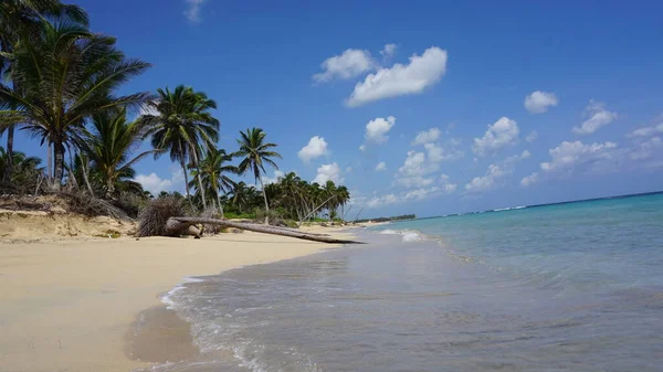Paisaje Una Exótica Playa Caribeña Uvero Alto Punta Cana República —  Fotos de Stock