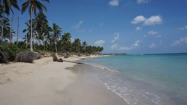 Paisaje Una Exótica Playa Caribeña Uvero Alto Punta Cana República — Foto de Stock