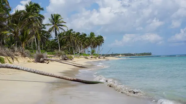 Paisaje Una Exótica Playa Caribeña Uvero Alto Punta Cana República —  Fotos de Stock