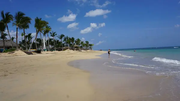 多米尼加共和国蓬塔卡纳Uvero Alto一个奇异的加勒比海滩景观 — 图库照片