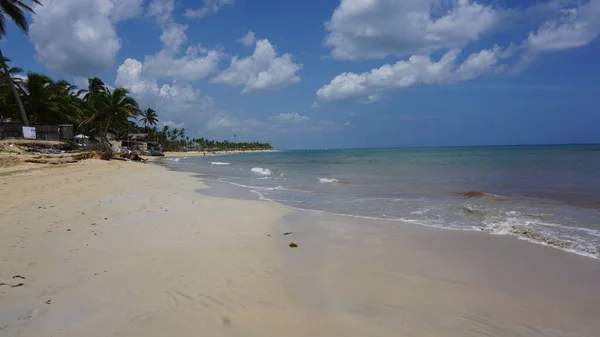 우베로 도미니카 공화국에서 이국적인 카리브 해변의 — 스톡 사진