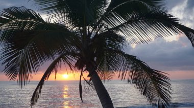 29 Ağustos 2023 'te Uvero Alto, Punta Cana, Dominik Cumhuriyeti' nde bir Karayip sahilinde güzel bir gün doğumu.