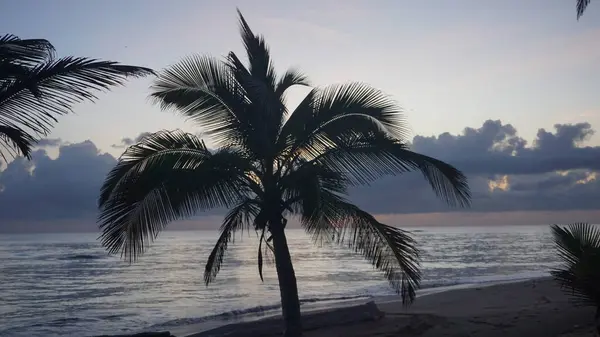 Восход Солнца Карибском Пляже Уверо Альто Пунта Кана Доминиканская Республика — стоковое фото