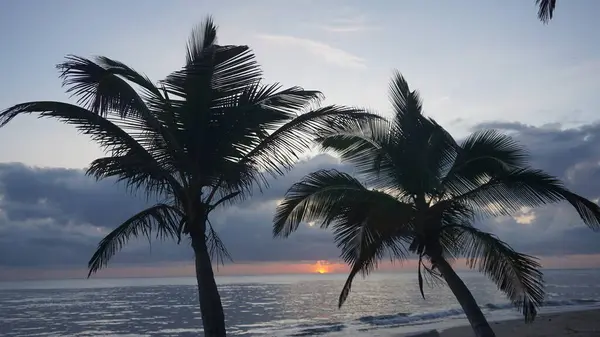 Восход Солнца Карибском Пляже Уверо Альто Пунта Кана Доминиканская Республика — стоковое фото
