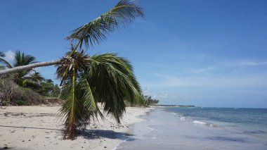 29 Ağustos 2023 'te Uvero Alto, Punta Cana, Dominik Cumhuriyeti' nde güzel bir Karayip plajında güneşli bir manzara.