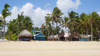 29 Ağustos 2023 'te Uvero Alto, Punta Cana, Dominik Cumhuriyeti' nde güzel bir Karayip plajında güneşli bir manzara.