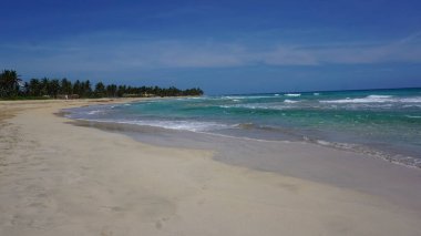 29 Ağustos 2023 'te Uvero Alto, Punta Cana, Dominik Cumhuriyeti' nde güzel bir Karayip plajında güneşli bir manzara.