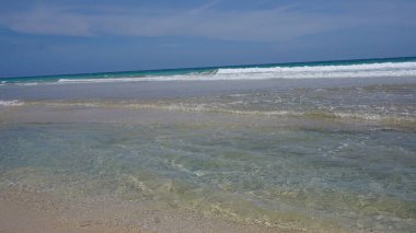 29 Ağustos 2023 'te Uvero Alto, Punta Cana, Dominik Cumhuriyeti' nde güzel bir Karayip plajında güneşli bir manzara.