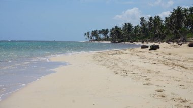 29 Ağustos 2023 'te Uvero Alto, Punta Cana, Dominik Cumhuriyeti' nde güzel bir Karayip plajında güneşli bir manzara.
