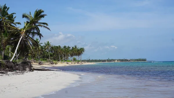 Sonnige Landschaft Einem Wunderschönen Karibikstrand Uvero Alto Punta Cana Dominikanische — Stockfoto
