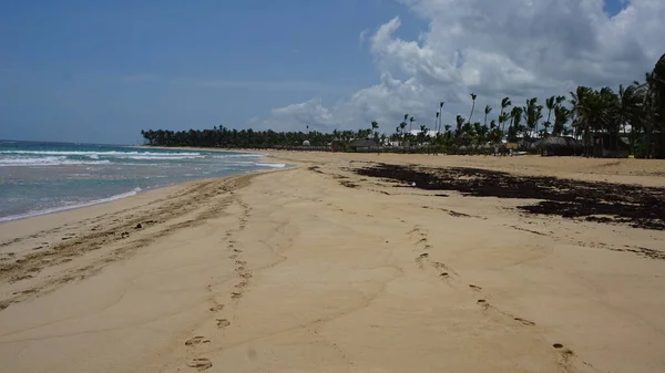 Paysage Ensoleillé Sur Une Belle Plage Des Caraïbes Uvero Alto — Photo