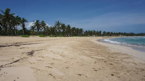 2023年8月29日 多米尼加共和国蓬塔卡纳乌韦罗奥托美丽的驯鹿海滩上阳光灿烂的风景 — 图库照片