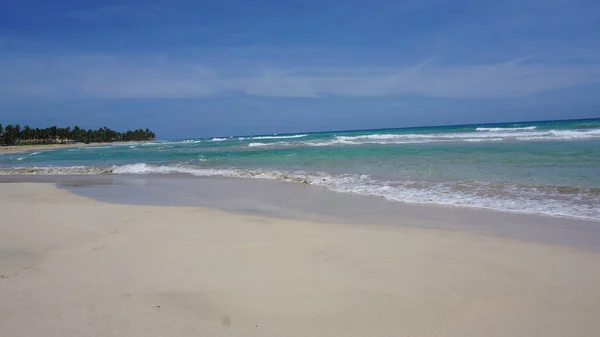 2023년 29일에 우베로 도미니카 공화국에서 카리브 해변에 화창한 — 스톡 사진