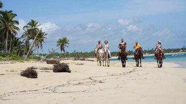 Uvero Alto, Punta Cana, Dominik Cumhuriyeti, 29 Ağustos 2023: Uvero Alto, Punta Cana, Dominik Cumhuriyeti 'nde güzel bir plaj boyunca at sırtında turist gezisi