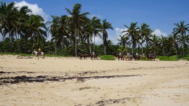 Uvero Alto, Punta Cana, Dominik Cumhuriyeti, 29 Ağustos 2023: Uvero Alto, Punta Cana, Dominik Cumhuriyeti 'nde güzel bir plaj boyunca at sırtında turist gezisi