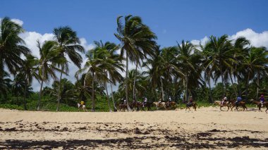 Uvero Alto, Punta Cana, Dominik Cumhuriyeti, 29 Ağustos 2023: Uvero Alto, Punta Cana, Dominik Cumhuriyeti 'nde güzel bir plaj boyunca at sırtında turist gezisi