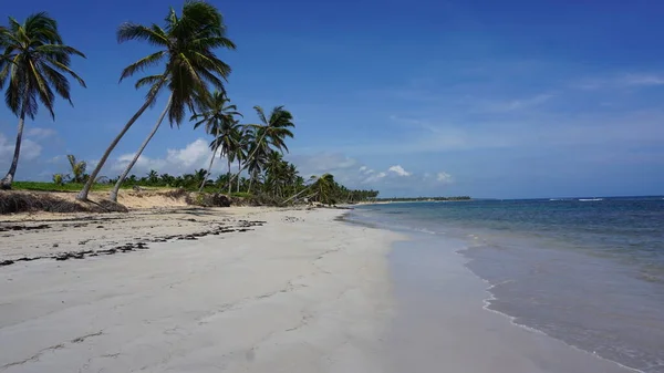 Pláž Krajina Krásný Slunečný Den Pláži Punta Cana Dominikánská Republika — Stock fotografie