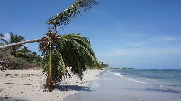 Strandlandskap Vacker Solig Dag Strand Punta Cana Dominikanska Republiken — Stockfoto