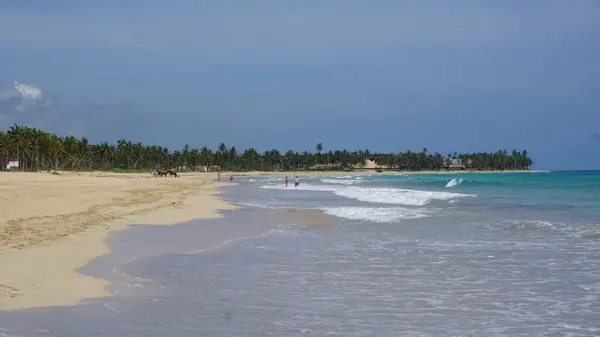 Пляжный Пейзаж Красивый Солнечный День Пляже Пунта Кане Доминиканская Республика — стоковое фото