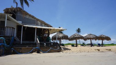 30 Ağustos 2023 'te Uvero Alto, Punta Cana, Dominik Cumhuriyeti' nde bir Karayip plajı manzarası