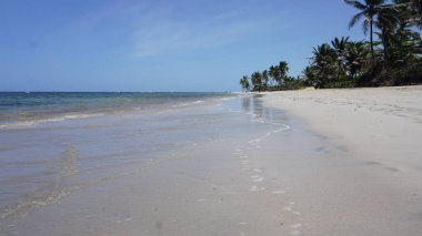 30 Ağustos 2023 'te Uvero Alto, Punta Cana, Dominik Cumhuriyeti' nde bir Karayip plajı manzarası