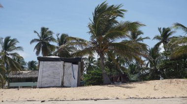 30 Ağustos 2023 'te Uvero Alto, Punta Cana, Dominik Cumhuriyeti' nde bir Karayip plajı manzarası