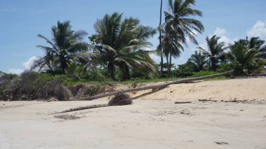 30 Ağustos 2023 'te Uvero Alto, Punta Cana, Dominik Cumhuriyeti' nde bir Karayip plajı manzarası