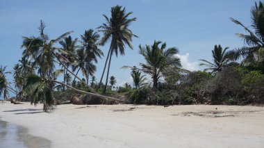 30 Ağustos 2023 'te Uvero Alto, Punta Cana, Dominik Cumhuriyeti' nde bir Karayip plajı manzarası