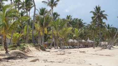 28 Ağustos 2023 'te Uvero Alto, Punta Cana, Dominik Cumhuriyeti' nde güzel bir sahil manzarası