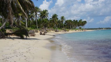 28 Ağustos 2023 'te Uvero Alto, Punta Cana, Dominik Cumhuriyeti' nde güzel bir sahil manzarası