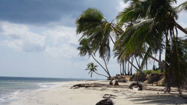 28 Ağustos 2023 'te Uvero Alto, Punta Cana, Dominik Cumhuriyeti' nde güzel bir sahil manzarası