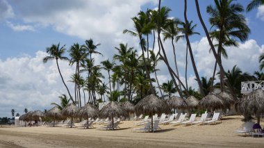 28 Ağustos 2023 'te Uvero Alto, Punta Cana, Dominik Cumhuriyeti' nde güzel bir sahil manzarası
