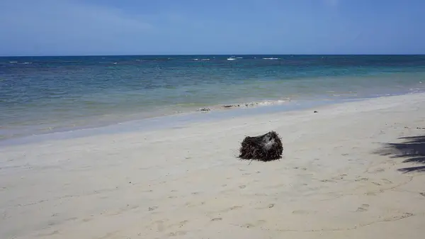 Krajobraz Karaibskiej Plaży Uvero Alto Punta Cana Dominikana Sierpnia 2023 — Zdjęcie stockowe